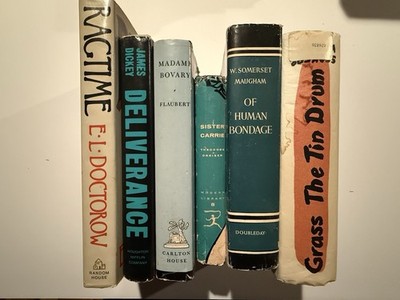 6 Book Lot - Tin Drum, Deliverance, Ragtime, Madame Bovery, Human Bondage
