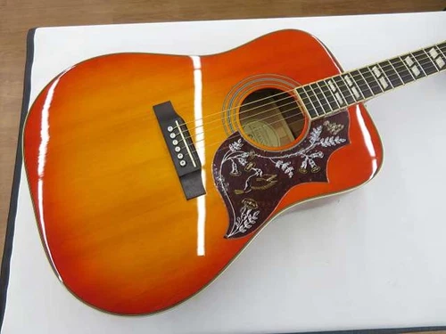 EPIPHONE / HUMMINGBIRD PRO/FC(no250331)