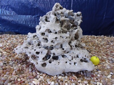 29# Texas/TN Holey Rock 11''x13''x11'' Aquarium Reptile Honeycomb Limestone