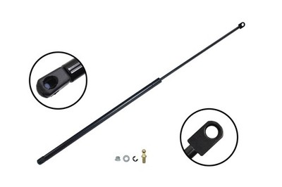 Rear Liftgate Lift Support for 1994-2001 Acura Integra - FCS