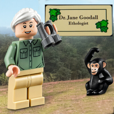 NEW LEGO Jane Goodall Minifigure w/ Chimpanzee & Name Sticker (gen161) 40530