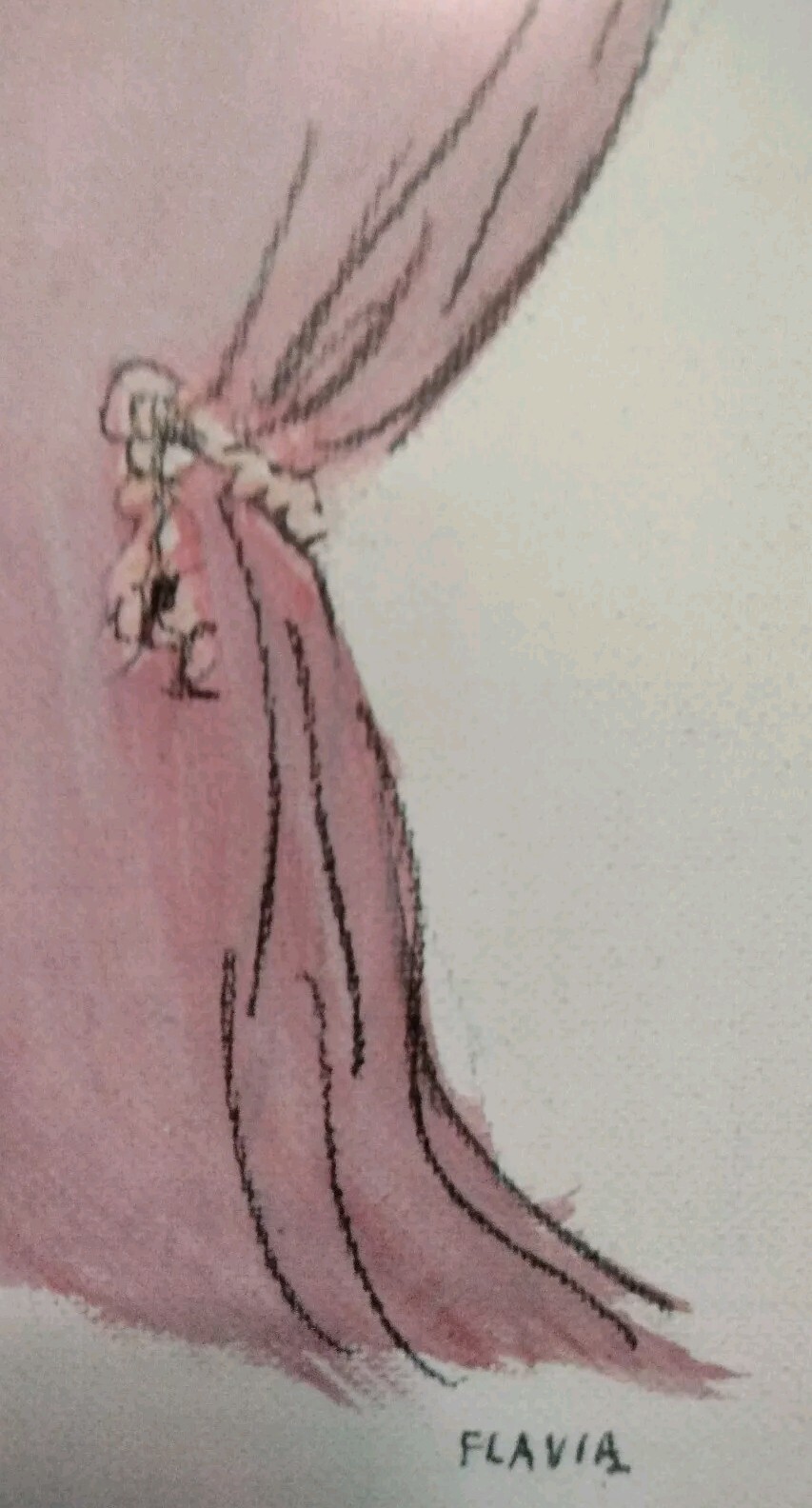 Picture 5 of 10