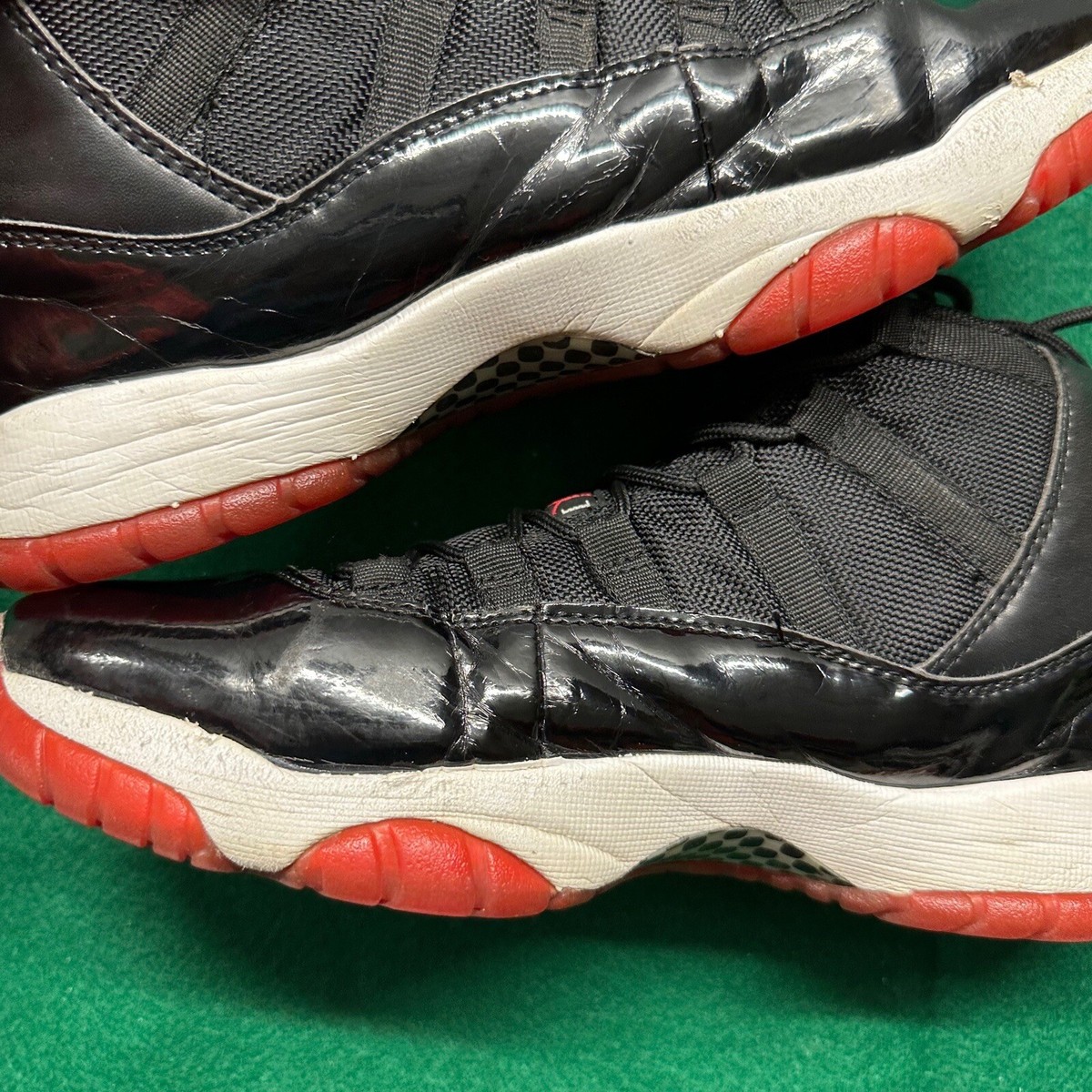 2010 bred 11