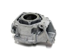 Go Kart Rotax Max Mini / Junior Cylinder Code 9