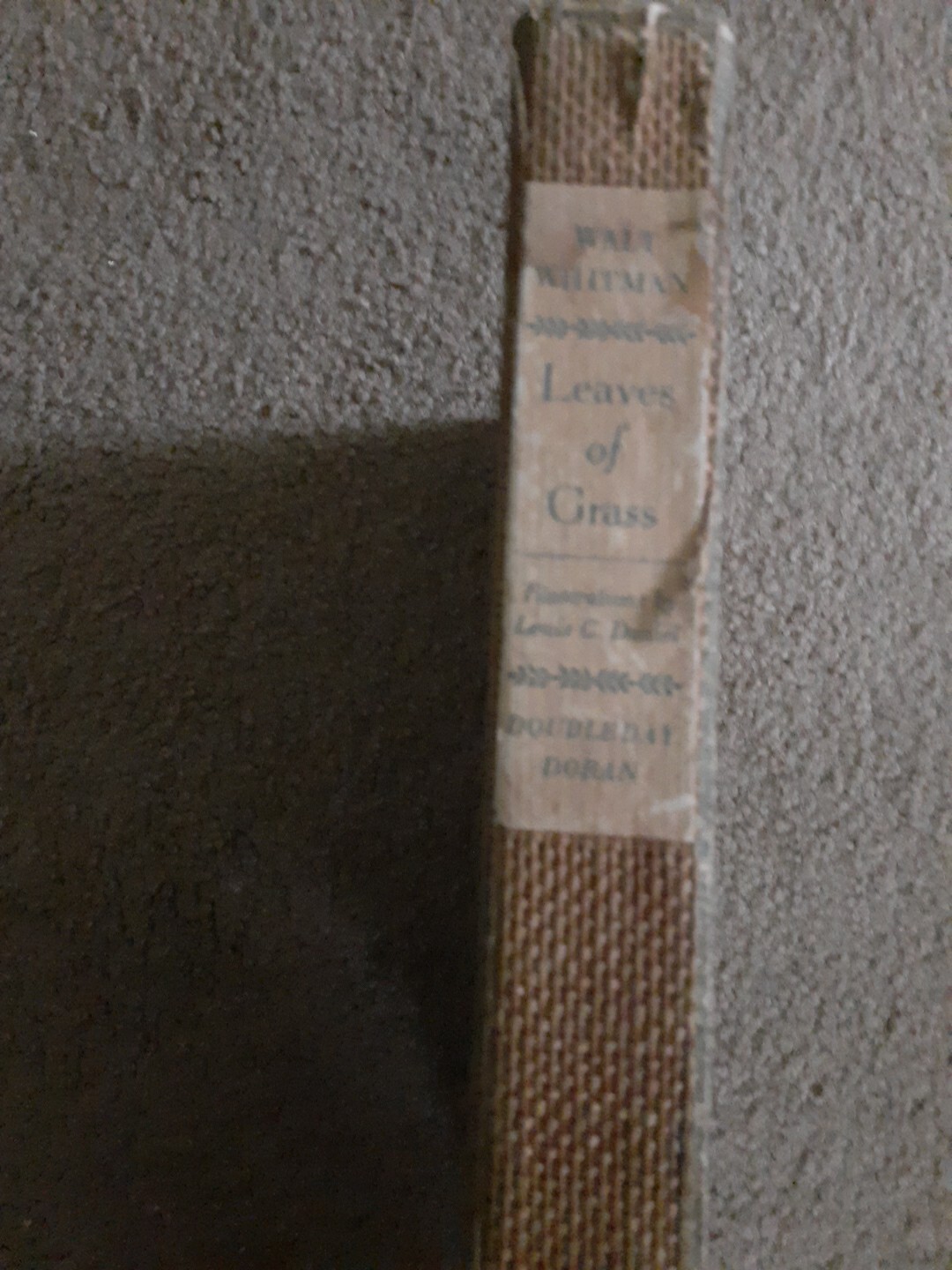 Foto 5 di 6