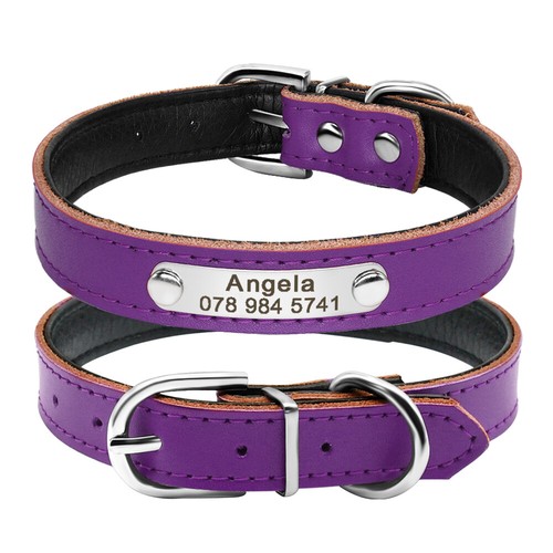 Personalisiertes Hunde- & Katzenhalsband mit individueller Gravur Name & Telefonnummer - Bild 27 von 45