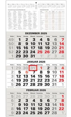 ANSCHÜTZ 3-Monatskalender 2026 Bürokalender Wandplaner 450x235mm Dreimonatskalender klein
