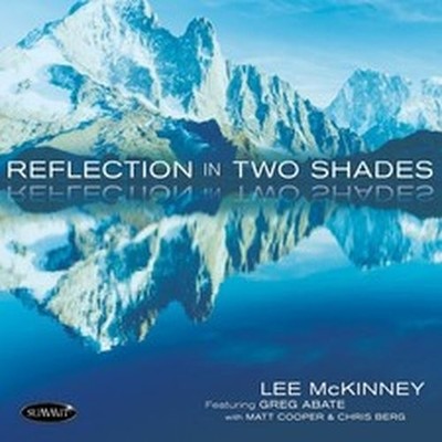 LEE MCKINNEY REFLECTION IN TWO SHADES (CD) ALBUM