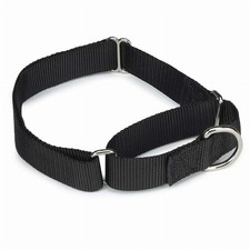 GG Nylon Martingale Collar, Optins Available