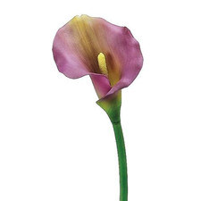 Real touch Calla Lilies stems PURPLE
