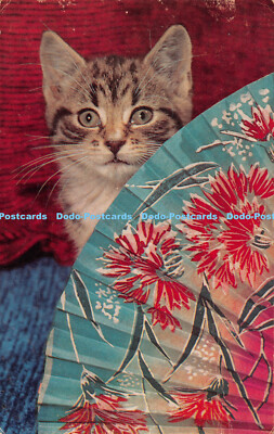 R491303 Katze J Lachs Postkarte