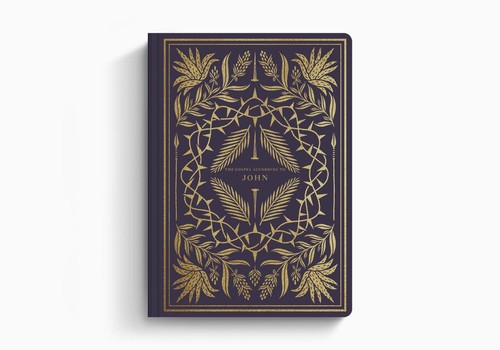ESV: JOHN - INDIVIDUAL Scripture and Journal - Imagen 4 de 4