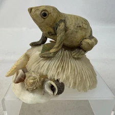 Frog Carving Set On Sea Shells Artwork Oceanic Figurine Fast Ship