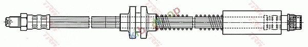Picture 3