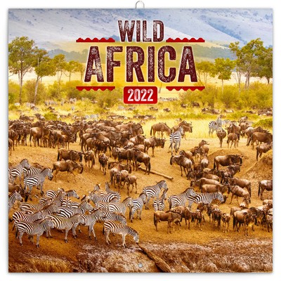 Wild Africa Kalender 2022 - 30 x 30(60) cm - Afrika, Wildlife