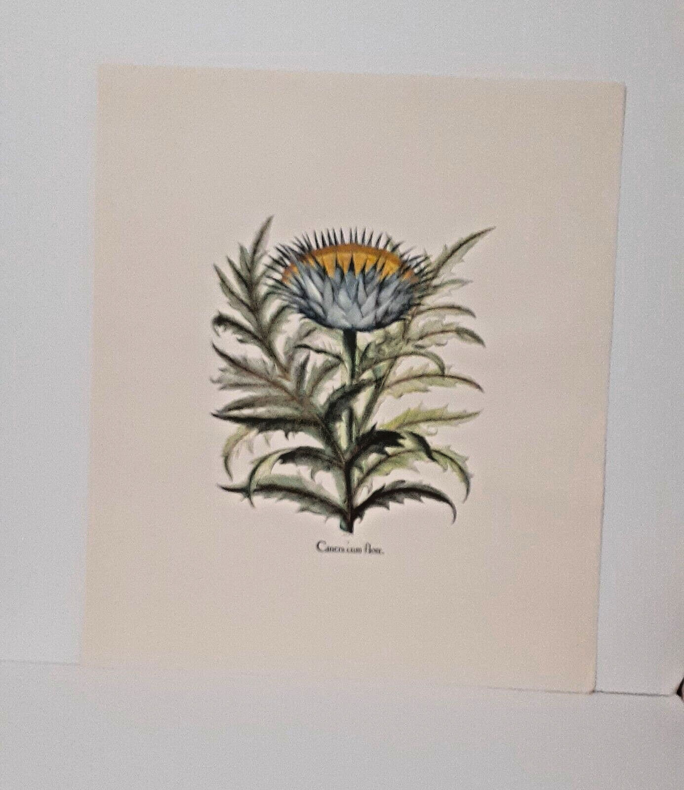 Picture 3 of 13