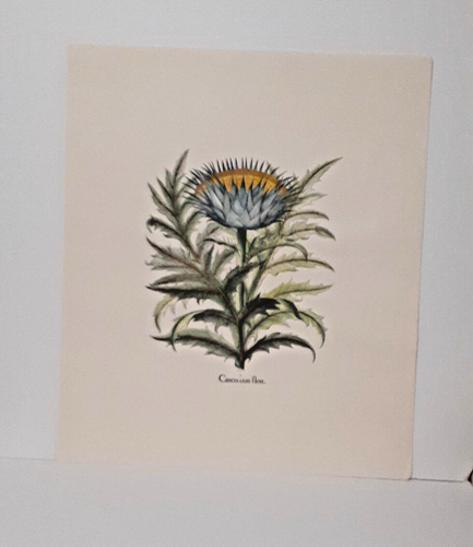 Edizioni Ponte Vecchio "Hellborus, Helenium and Cinera Cum Flure" 27" x 31" New - Picture 3 of 13
