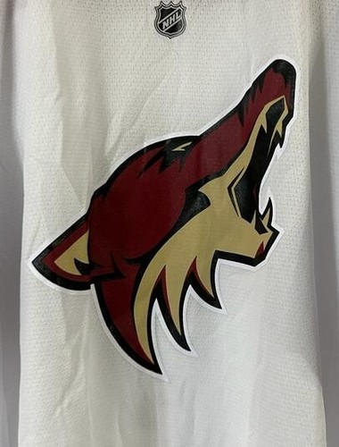 Reebok Youth Phoenix Coyotes Road V-Neck Ice Hockey Jersey, White, Large/XL - Picture 3 of 7