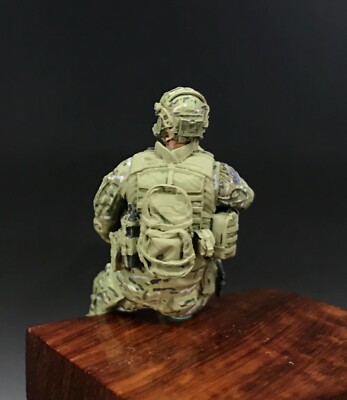 個人装備 seal team NCPC 個人装備 seal team NCPC 1/35 Built and Painted Resin U.S.