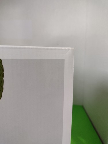 NUEVO FUNKO 10" POP! ~ LIBROS ~ CTHULHU #23 ~ EXCLUSIVO DE FUNKO SHOP LE ~ ABOVEDADO - Imagen 8 de 9