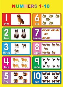 Number Chart For Kids