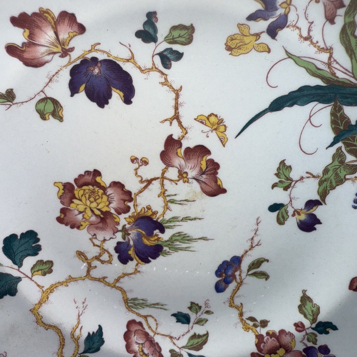 WEDGWOOD DEVON ROSE GEORGETOWN BONE CHINA (1) | eBay