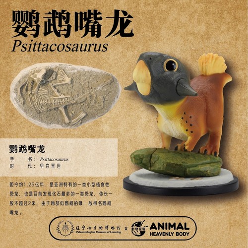 ANIMAL HEAVENLY BODY Studio Anchiornis Huxleyi Model Psittacosaurus Dinosaur Toy - Picture 5 of 6