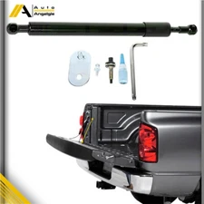 For Ford F-150 2004-2010-2014 Tailgate Assist Lift Support Shock Struts DZ43200