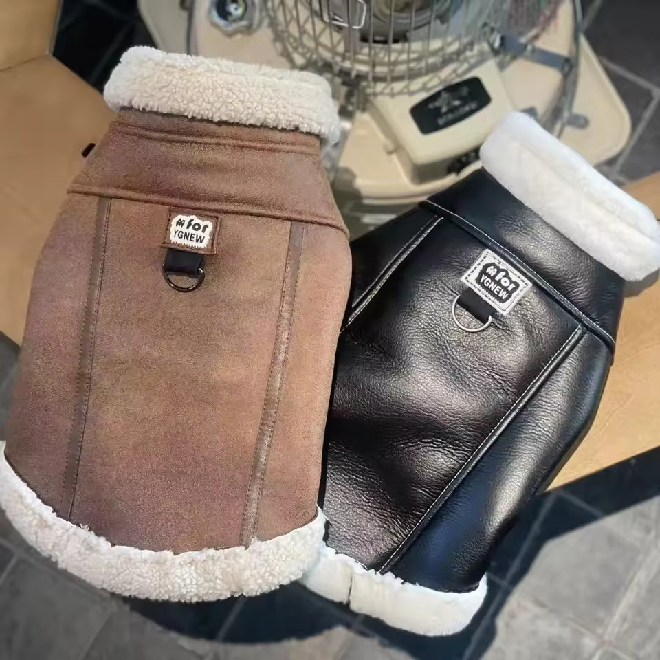Vêtement pour chiot d'automne gilet en velours douillet pour promenades en ville taille M