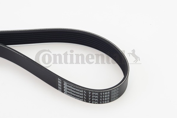 Continental Ctam 7PK1165 Keilrippenriemen FüR Datsun, Nissan-image