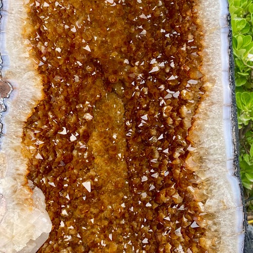 149.31LB Large Natural citrine geode cluster quartz crystal cathedrals specimen - 第 6/17 張圖片