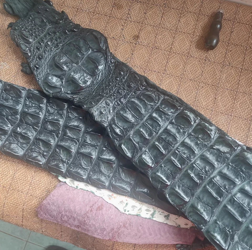 Correa trasera de cuero genuino de piel de cocodrilo marrón 51 x 4,75" Foto 4 de 4