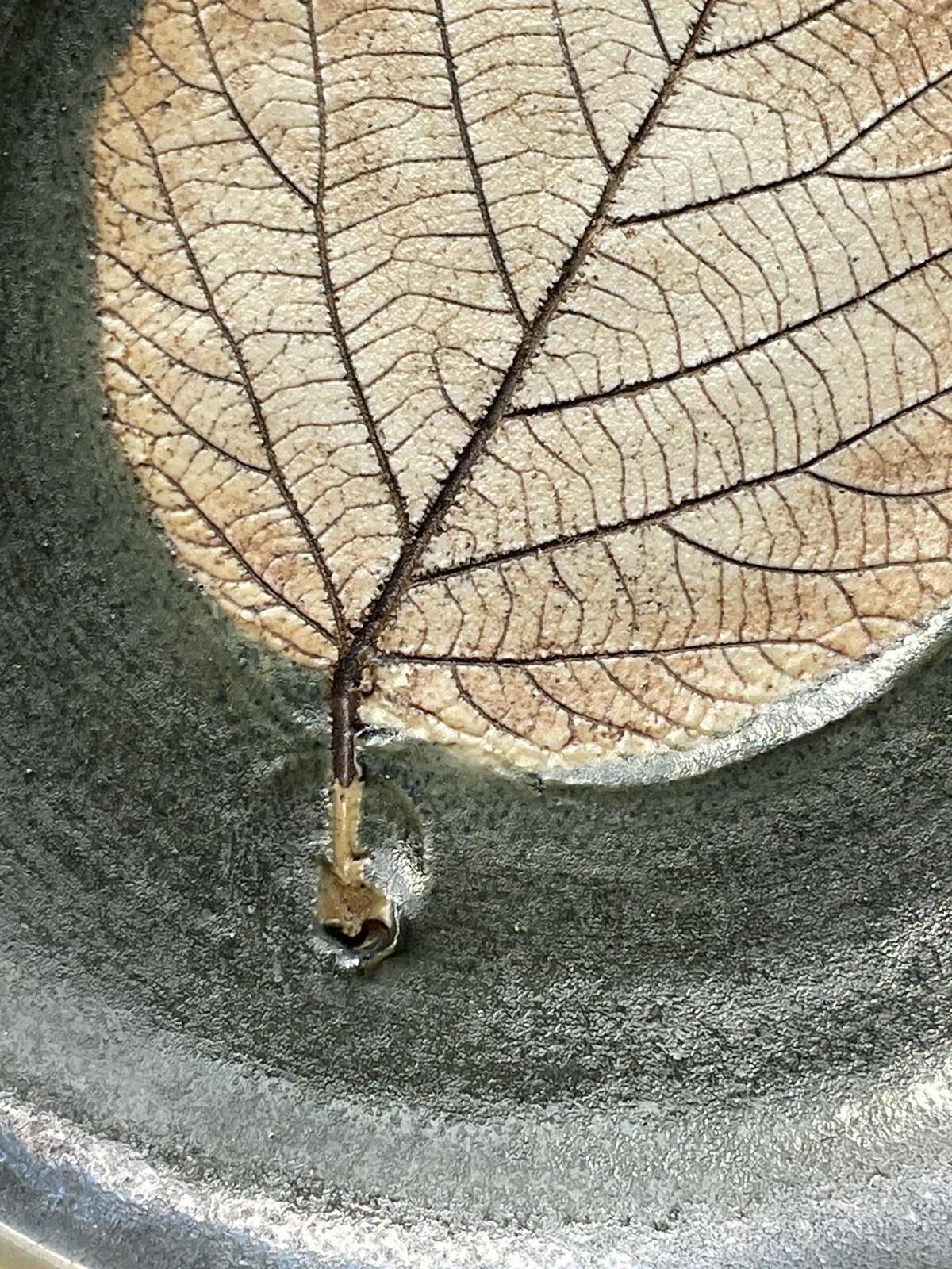 Picture 7 of 12