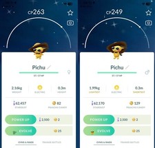 Shiny Pichu with summer flair hat costume Mal...
