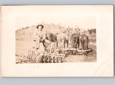 c1910 Man w/ Horse Drawn Disc Plow Farming Agriculture RPPC Real Photo Postcard
