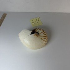 Nautilus Shell Candle Decorative Coastal Decor E-11
