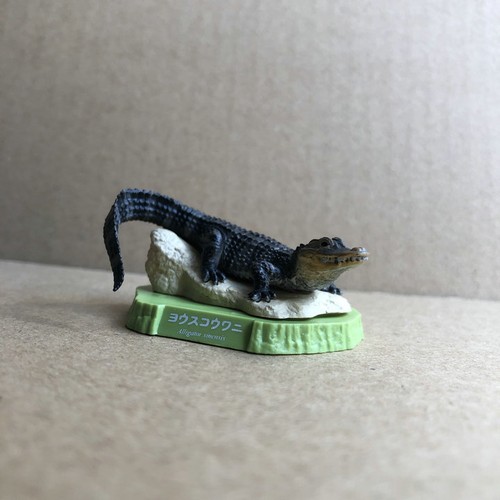 KAIYODO Zoo Polar Bears Tigers Crocodiles Statue Figurine Collector Toy 1x / 5x - Picture 8 of 11