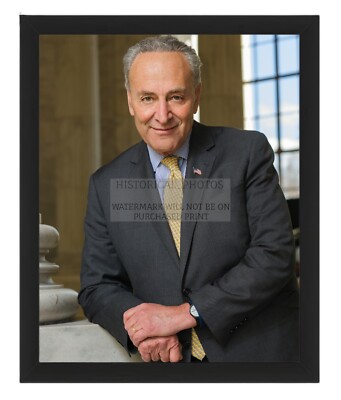 SENATOR CHUCK SCHUMER DEMOCRATIC MAJORITY LEADER PORTRAIT 2017 8X10 FRAMED PHOTO