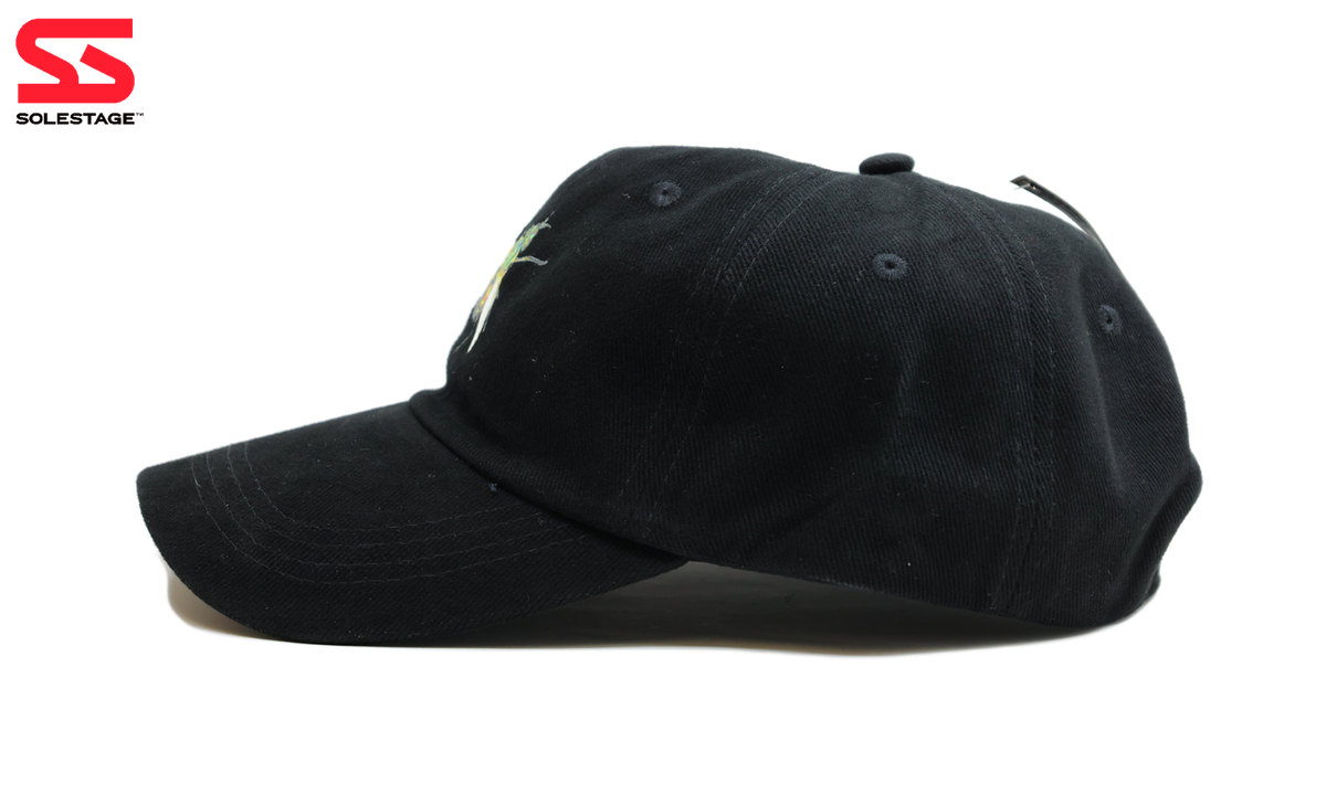 Travis Scott Birds Eye View Europe Tour Hat Black (TSCJ-HT001) One