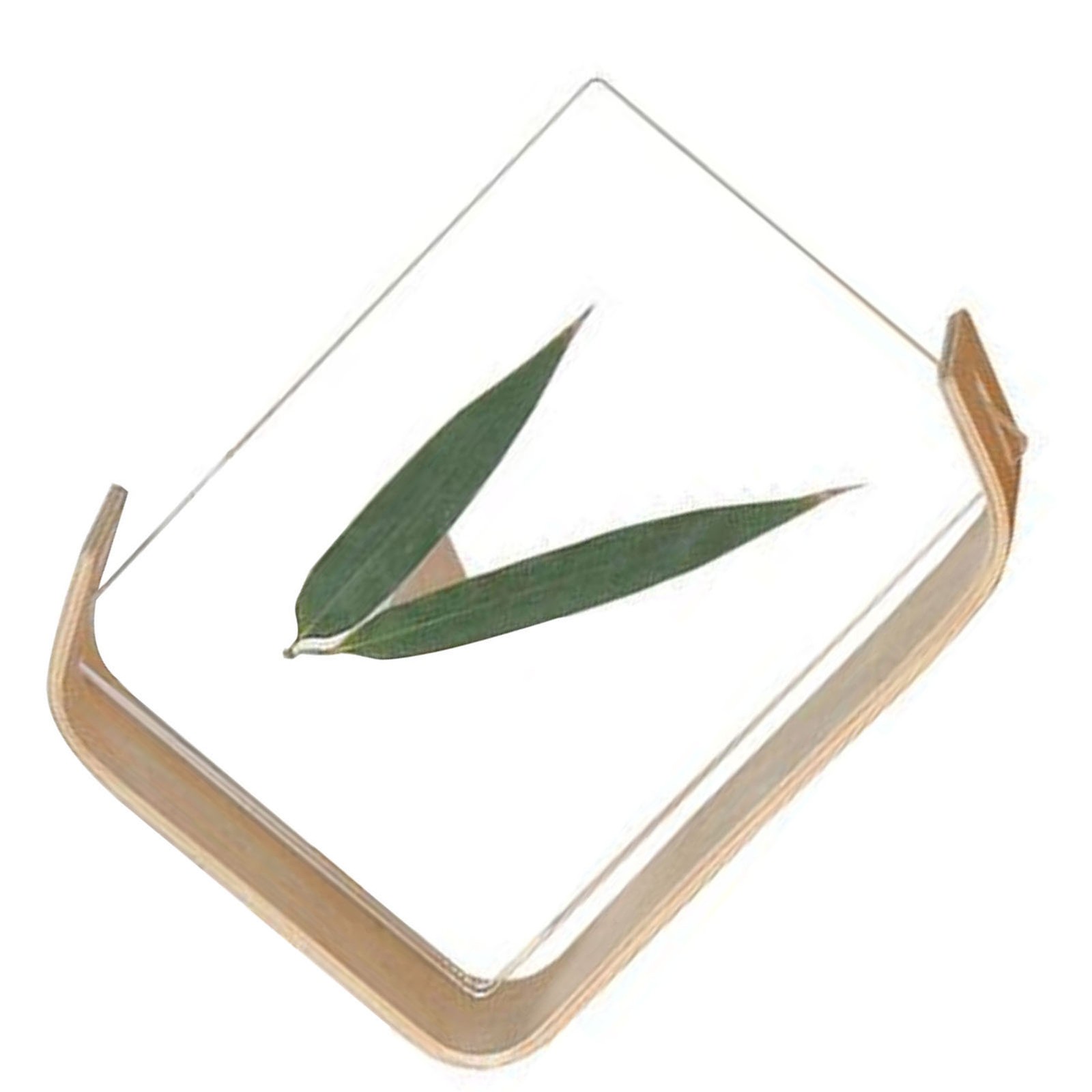 Desktop Plant Specimen Frame Wooden Acrylic Photo Frame Desktop Or