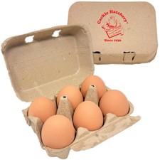 Ceramic Nest Eggs - Brown 6 Pack 