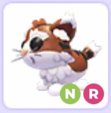 Neon Ride NR Munchkin Cat    Cheap   Adopt Me...