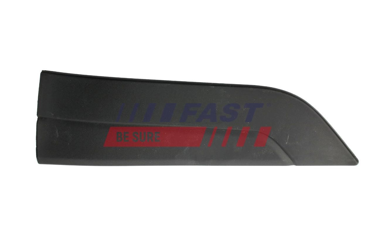 Right Rear FAST FT90878 Trim/Protection Strip, door for CITROËN,FIAT,PEUGEOT