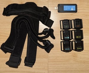 Haritorax | eBay