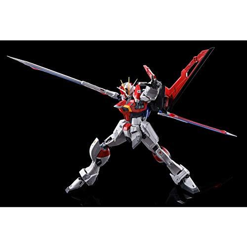 Premium Bandai] RG 1/144 ZGMF-X56S/B Sword Impulse Gundam