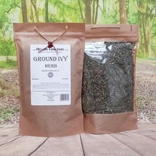 Ground Ivy Herb | Glechoma hederacea | GMO-free Pure Herbal