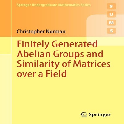 Finitely Generated Abelian Groups and Similarity of Matrices over