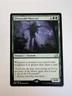 Ulvenwald Observer - MTG Eldritch Moon - NM