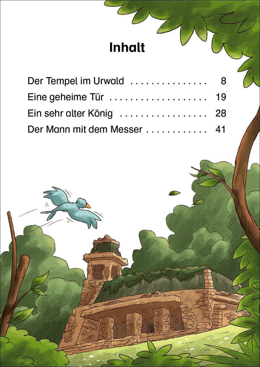 Thumbnail - Leselöwen 2. Klasse - Abenteuer Maya-tempel | Anni Möwenthal | Buch |