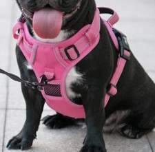 PINK POLY Pet No Pull Reflective Dog Harness Small Pink Mesh Padded Comfort